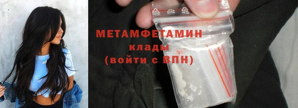 прущие грибы Богородицк