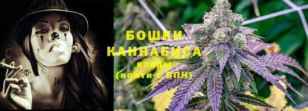 прущие грибы Богородицк
