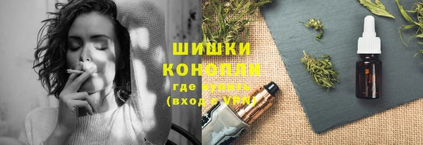 прущие грибы Богородицк