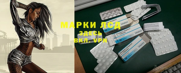 прущие грибы Богородицк