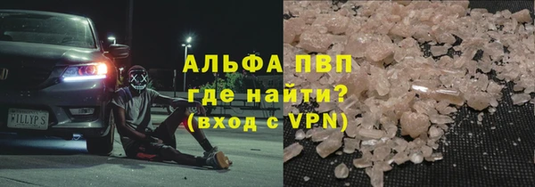 прущие грибы Богородицк
